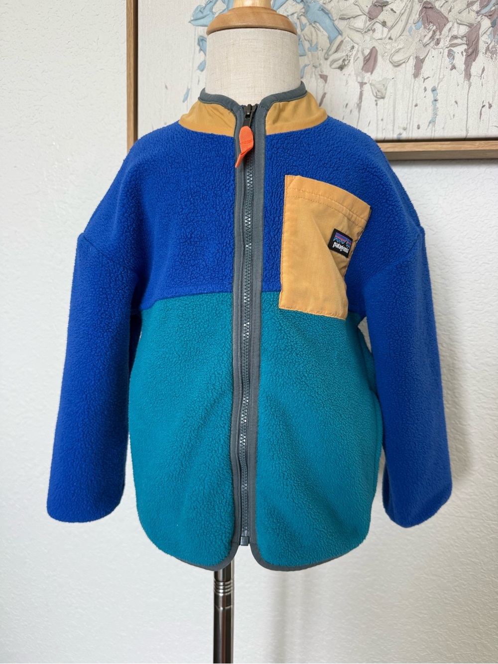 Patagonia Kids Synchilla Colorblock Fleece Jacket